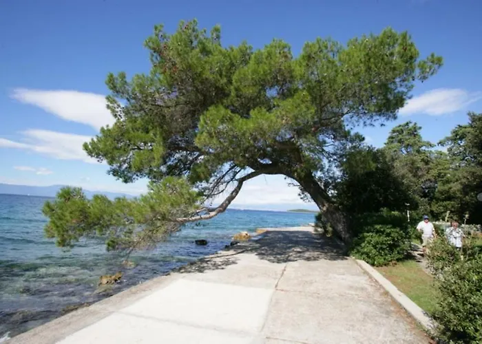 Apartmani Cvelic Malinska